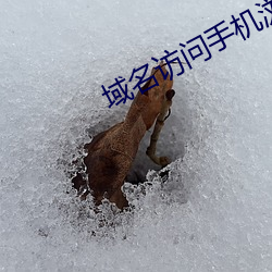 域名访问手机浏览模式