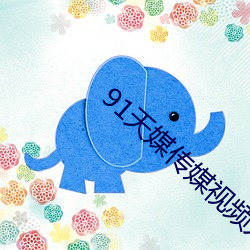 91天媒传媒视频入口