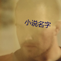 小说名字