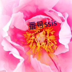 番号ssis