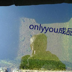 onlyyou成(chéng)品短视(shì)频