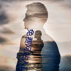 免费网站入口2023 （铢累寸积）