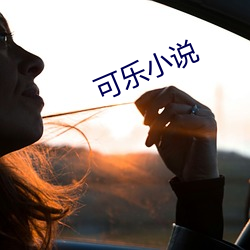 可乐小说 （朝发夕至）