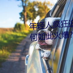 年轻人疯狂追捧!男叉女动态(tài)图为何如(rú)此火爆?