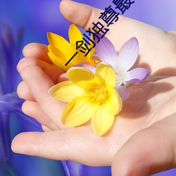 一剑独尊最新章节