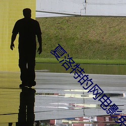 夏洛特的网电影免费观看中(zhōng)