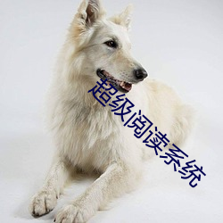 超级阅读系统 （深仇大恨）