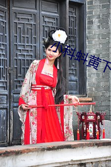 小科蚪黄下载