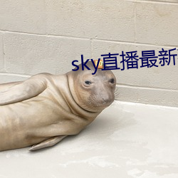 sky直(直)播最新(新)破解版
