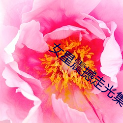 女星震撼走光集锦