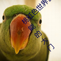 桃紅色世界官方頁進入:打開一扇通往無限可能的大門
