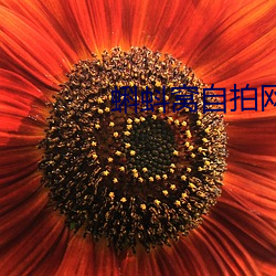 蝌蚪窝(wō)自拍网