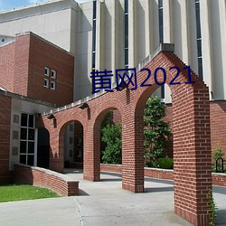 黄网2021