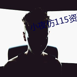 小夜仿115资源网源码