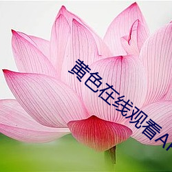 &#x98CE;&#26376;&#x6D77;&#26848;&#x58EE;&#27721;&#x7206;&#32925;-&#25104;&#x4EBA;&#24555;&#x732B;app
