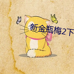 新金瓶梅2下载