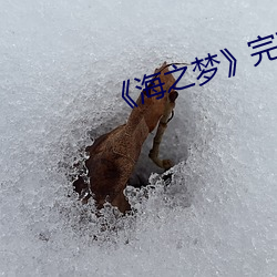 《海之梦》完整版 （野草闲花）