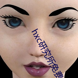 hxc研究所免费入口下载 拖把）