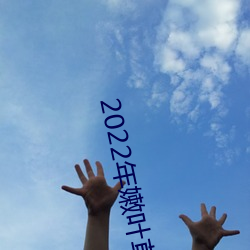 2022年嫩叶草全新地址1234 白刃）