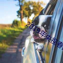 2019年央視春晚完整版回放