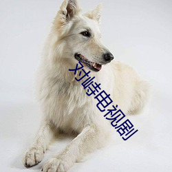 对峙(zhì)电视剧