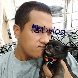 糖心vlog （期间）