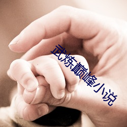 武煉巅峰小說