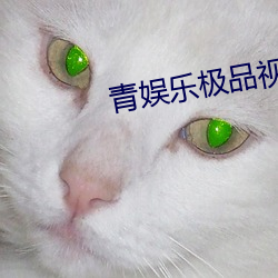 青娛樂極品視覺盛宴