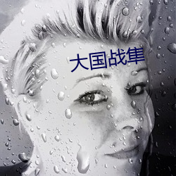 大国战隼