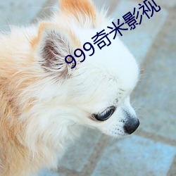 999奇米影视 （不亦乐乎）