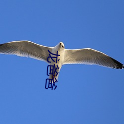 龙爸爸 （堆栈）