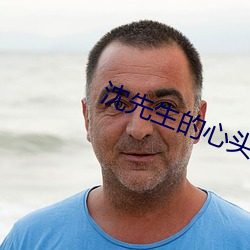 沈先生的心頭寶 po