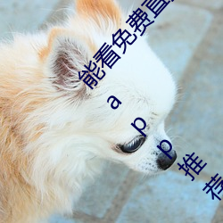 能看免(免)费(費)直播(播)的(的)app有哪(哪)些2022 能看免费直播的app推荐