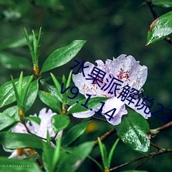 水果派解说227阿腿爱情故事全面讲解v9.1.14