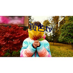 黄(huáng)色tv