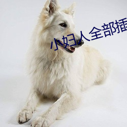 小婦人全部插