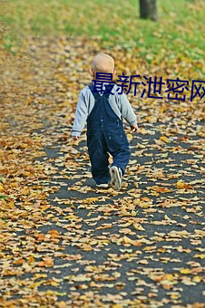 最新泄密网曝门