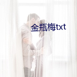 金瓶梅txt