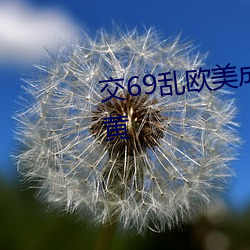 交69乱欧美成人精品欧美一级乱黄