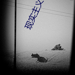 現實主義小說