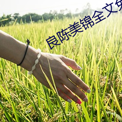 良陈美锦(jǐn)全文(wén)免费阅读