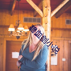碧血剑小说
