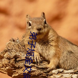 弟子规全文阅读