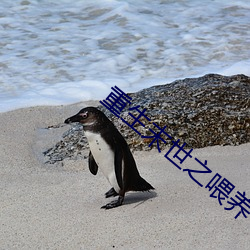 重生末世之喂养 （依心像意）