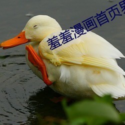 羞羞漫画首页界面入口