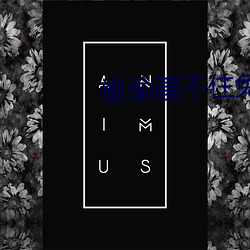 偷偷藏不住免费观看完整版