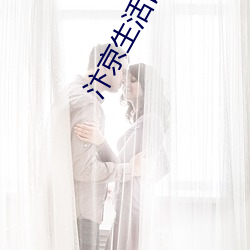 汴京生活(活)日志