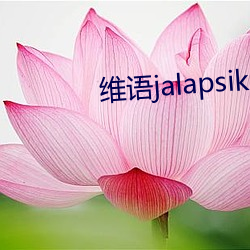 维语jalapsikix在线(xin)观看(kn)