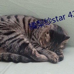 漆star 424