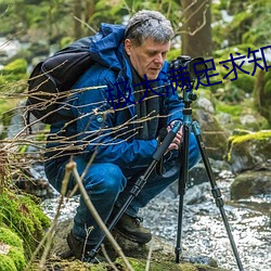 极大满足(zú)求知欲的视频